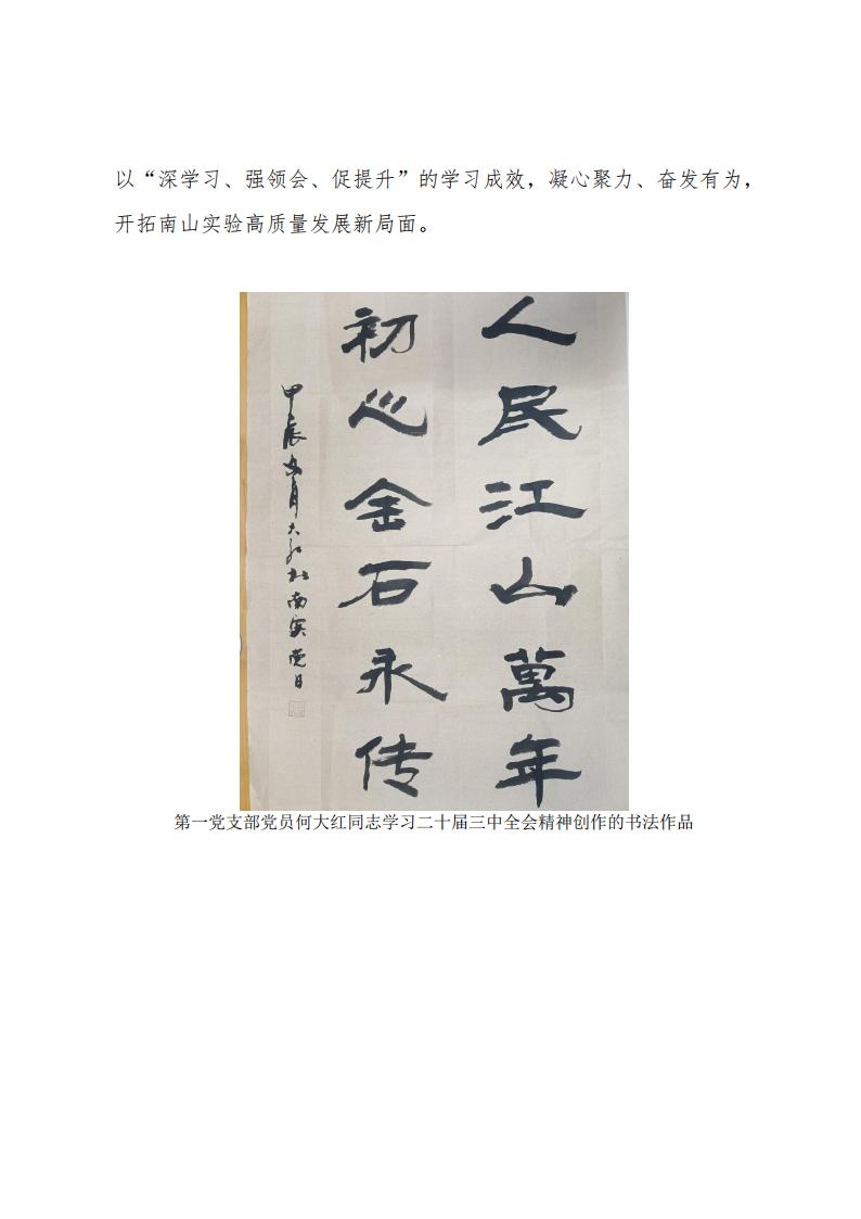 2024.11.29深學(xué)習(xí)、強領(lǐng)會、促提升南山實驗黨委組織開展黨員干部及全體黨員學(xué)習(xí)貫徹黨的二十屆三中全會精神專題培訓(xùn)_04.jpg